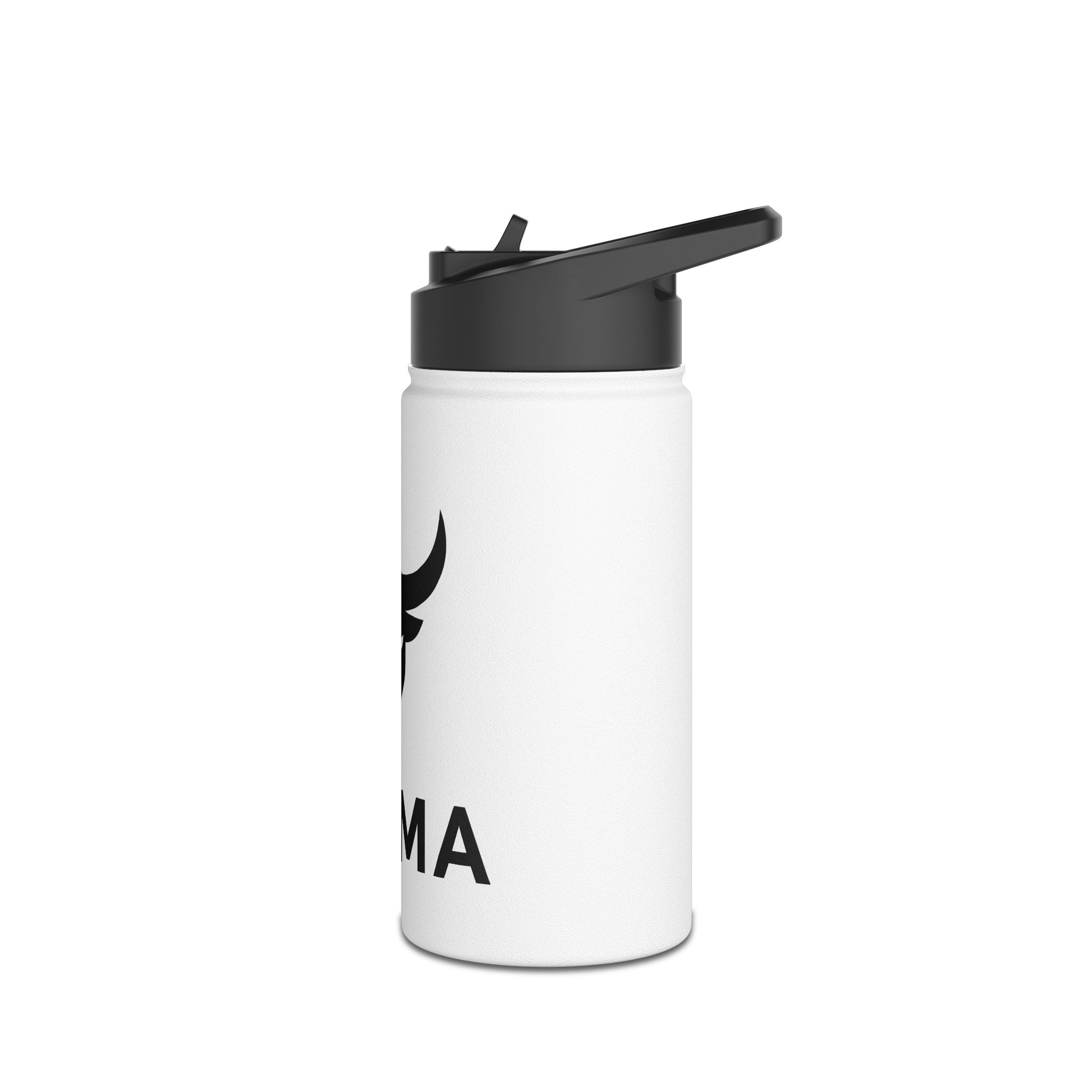 Stainless Steel Water Bottle, Standard Lid